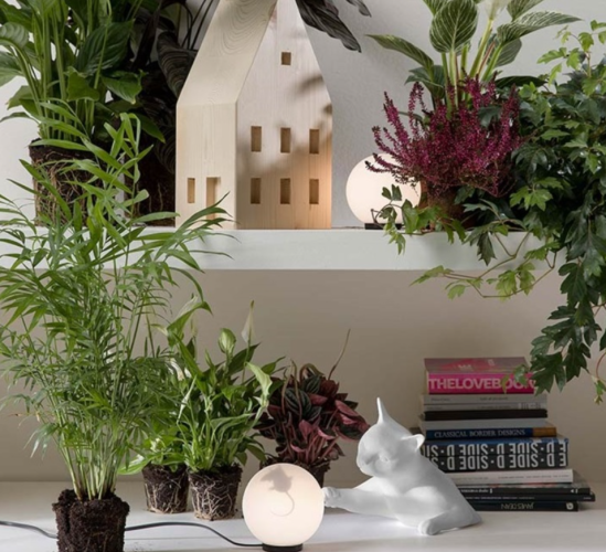 Karman Maoo - Tavolo