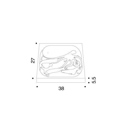 16 Pesci; dimensioni