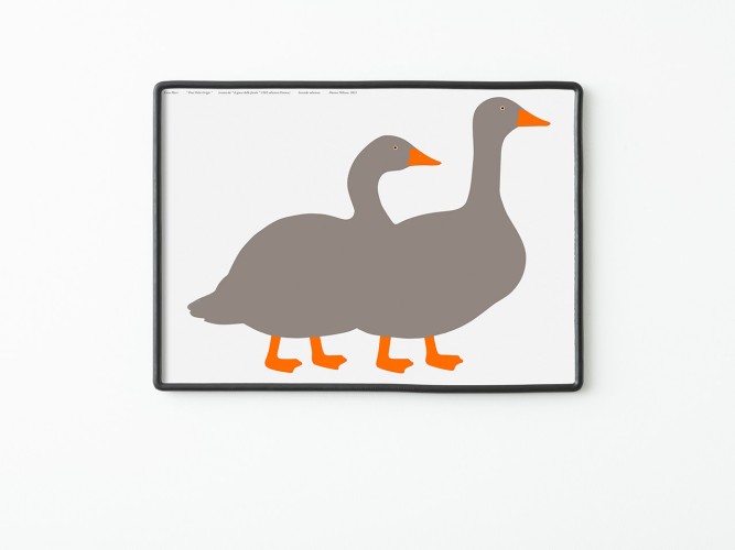 Due Oche Grigie, Design Enzo Mari