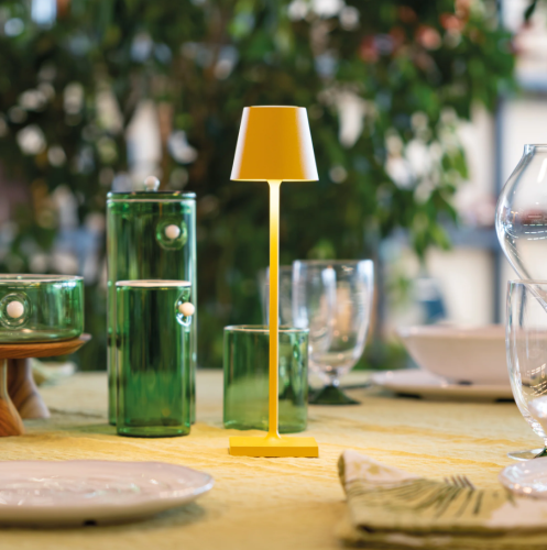 Zafferano Poldina Pro Micro Ricaricabile - OUTLET