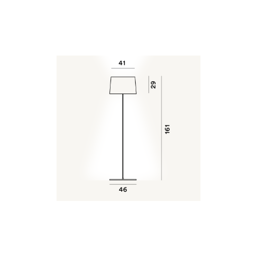 Twiggy Lettura; dimensioni