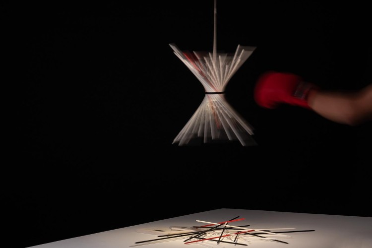 Ingo Maurer Pic-a-stic