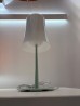 Foscarini Birdie Easy Piccola, Verde Salvia - OUTLET