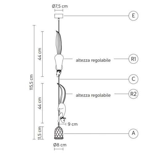 Karman Sherwood e Robin - size