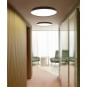 Luceplan Compendium Plate Parete/Soffitto
