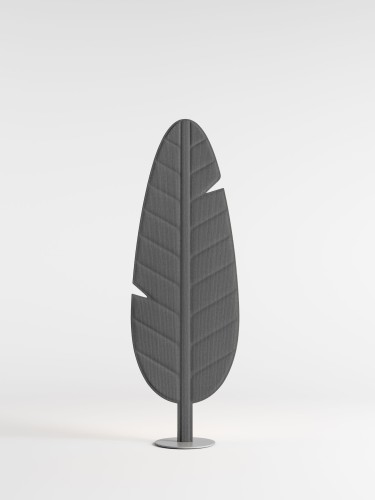 Rotaliana Eden F1 Banana