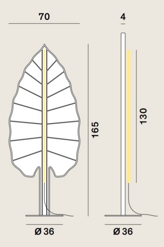 Rotaliana Eden F1 Banana