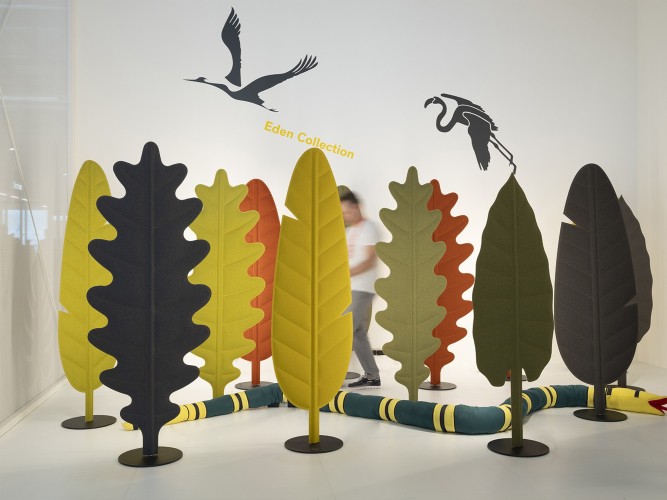 Rotaliana Eden F3 Alocasia