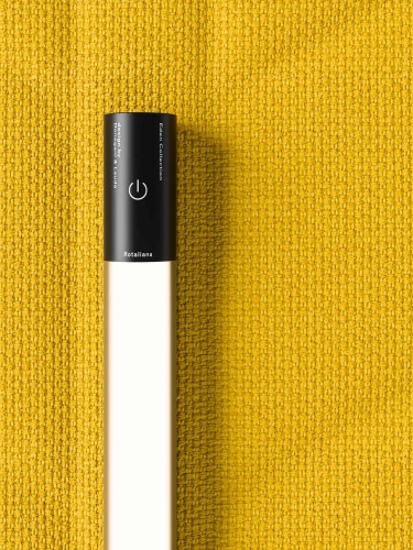 Rotaliana Eden F3 Alocasia