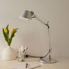 Artemide Tolomeo Micro